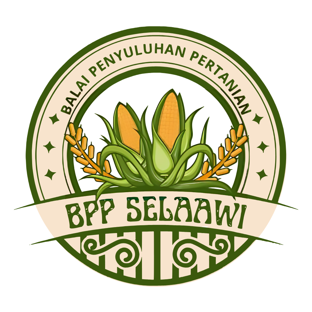 Logo SelaAwi